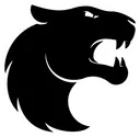 FURIA Esports